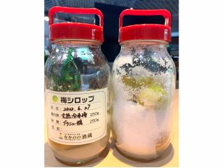 梅シロップ漬け込み