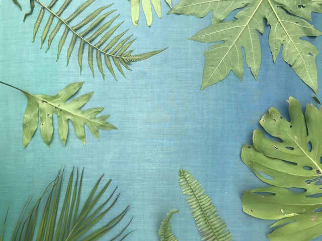 自然をアートに☆