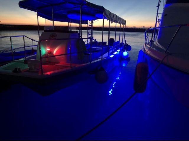 夜の海もライトアップで素敵な空間に!