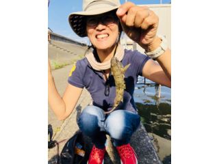 お子様に大人気 陸からのハゼ釣り教室 180分 20名までok ファミリーや初心者にオススメ Playful Fishing じゃらん遊び体験