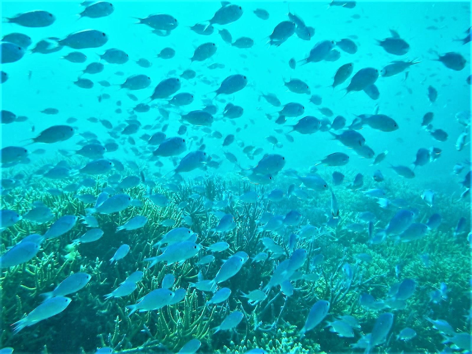 l̕ɂ̔dRI
ĺAdŔhւhɈʒu邽߁AlXȊCւ̃ANZX֗ȓłI