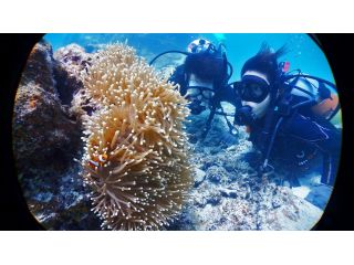 ”体験ダイビング”は初めての方でもご参加いただけます!無重力体験を疑似体験しちゃえますよ!