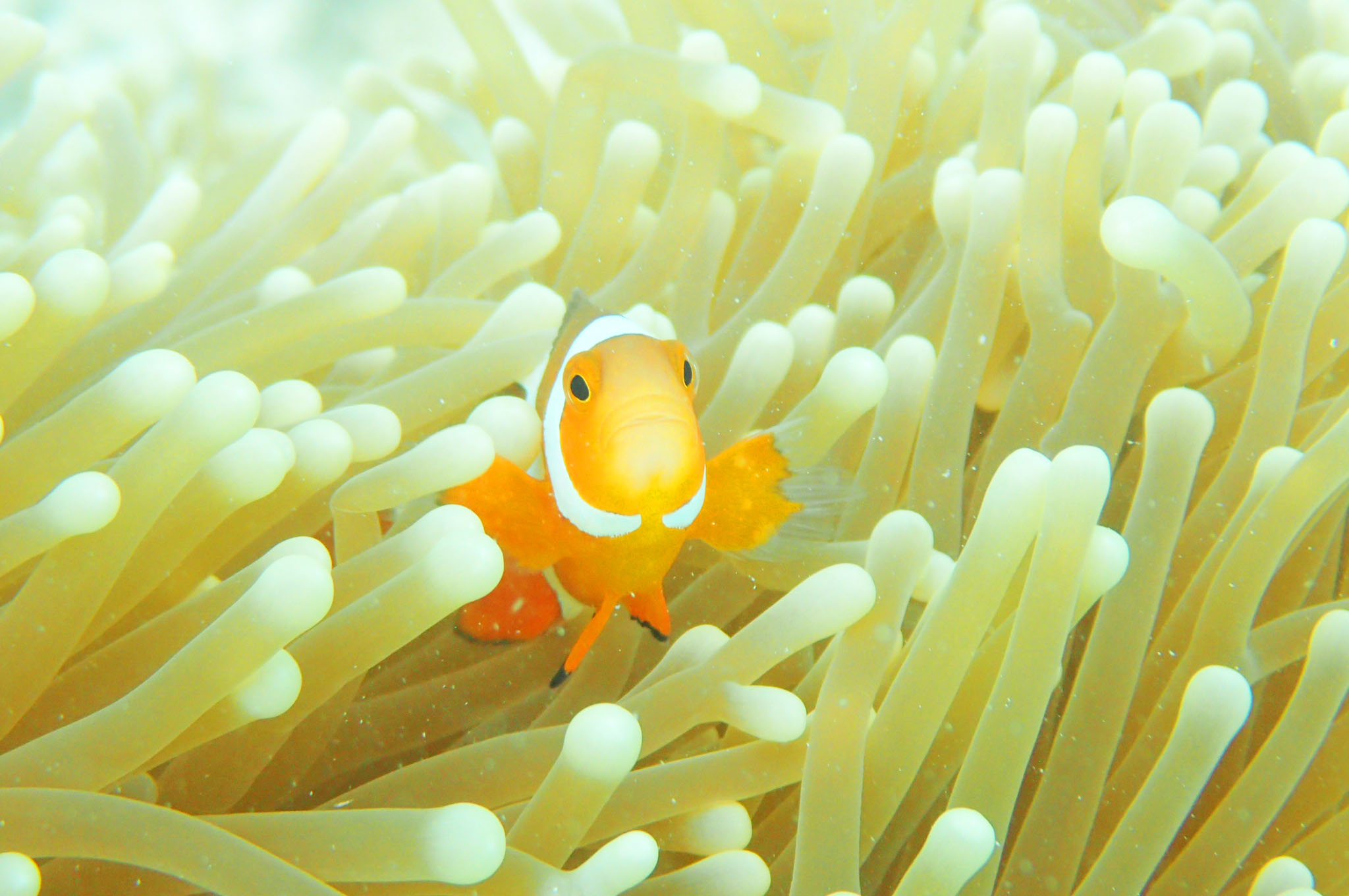 _CrOł́AƓڐł悬܂̂ŁAsvcȑ̌ł܂IƂӂꂠ̌łI