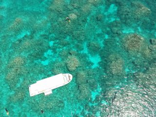 八重山諸島域は、サンゴが隆起してできた島もあるほどサンゴ礁の密集エリア!
ベテラン船長は、マル秘ポイントも多数知っています!