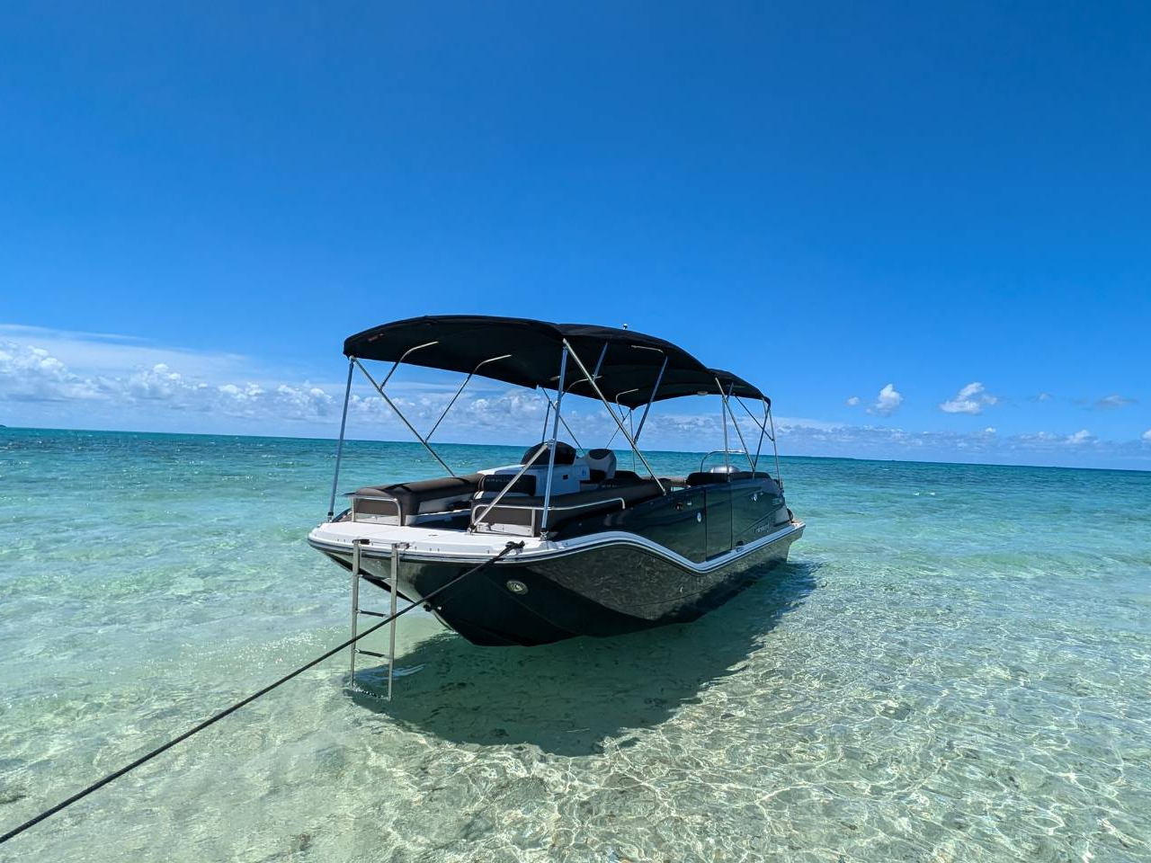 2024NV̐V{[gŁAOWA[ȃEW^CvłI