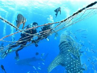 写真、動画は無料にてすべてプレゼント♪