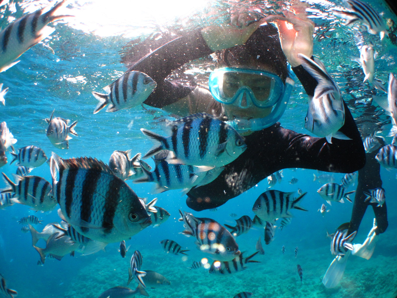 JtȔMыɃGTł̂ŃVm[PO̊yAbvłI