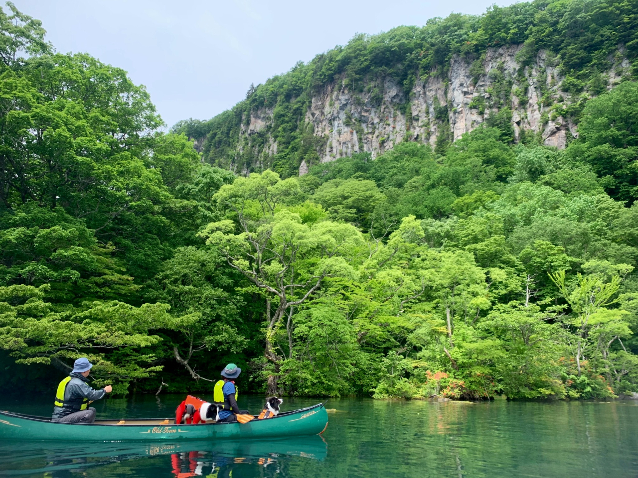 【2名様以上専用】十和田湖カナディアンカヌーツアー!湖上でいただくケーキと紅茶付...