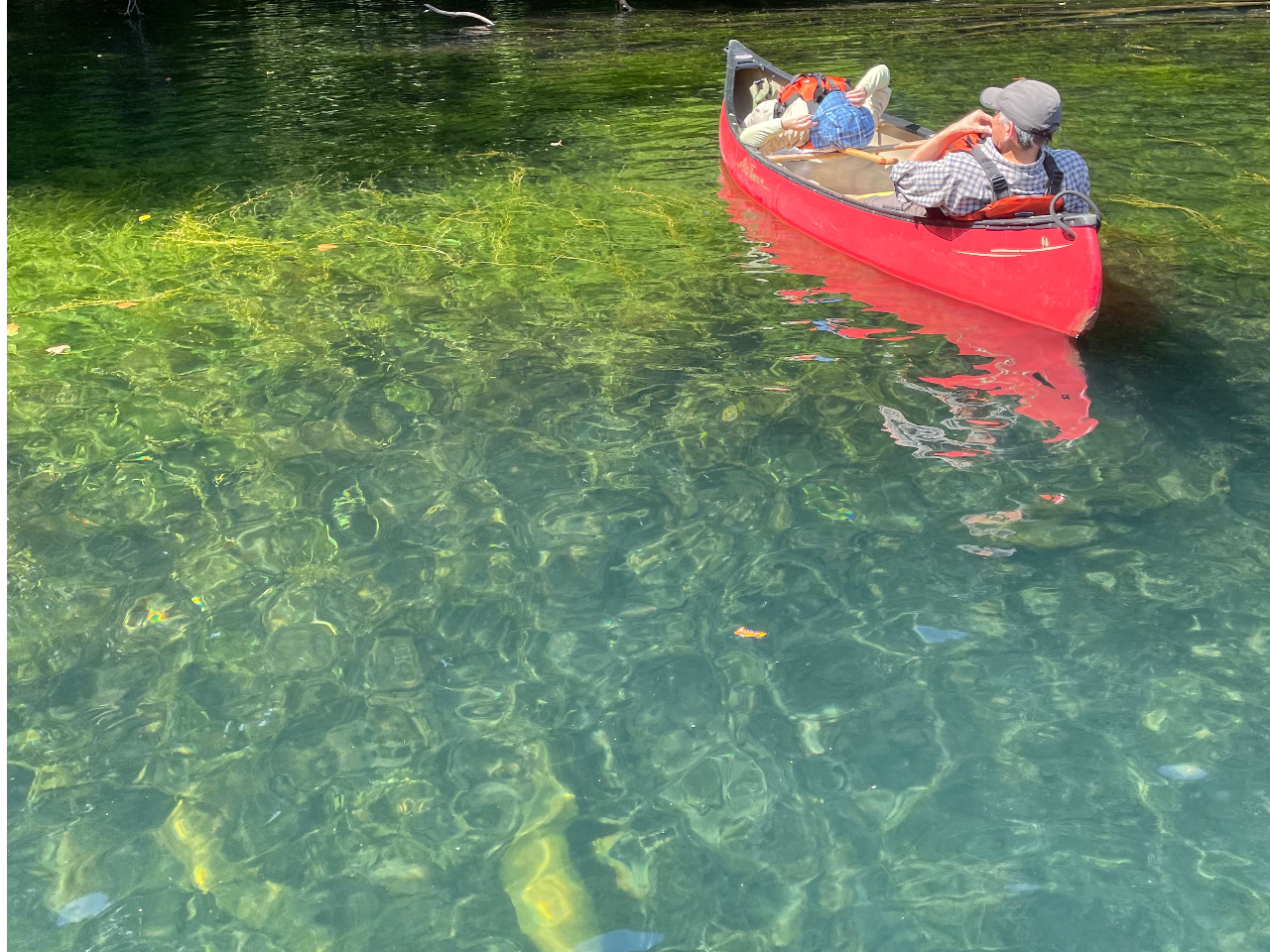 ポカポカの日は入江でお昼寝。
