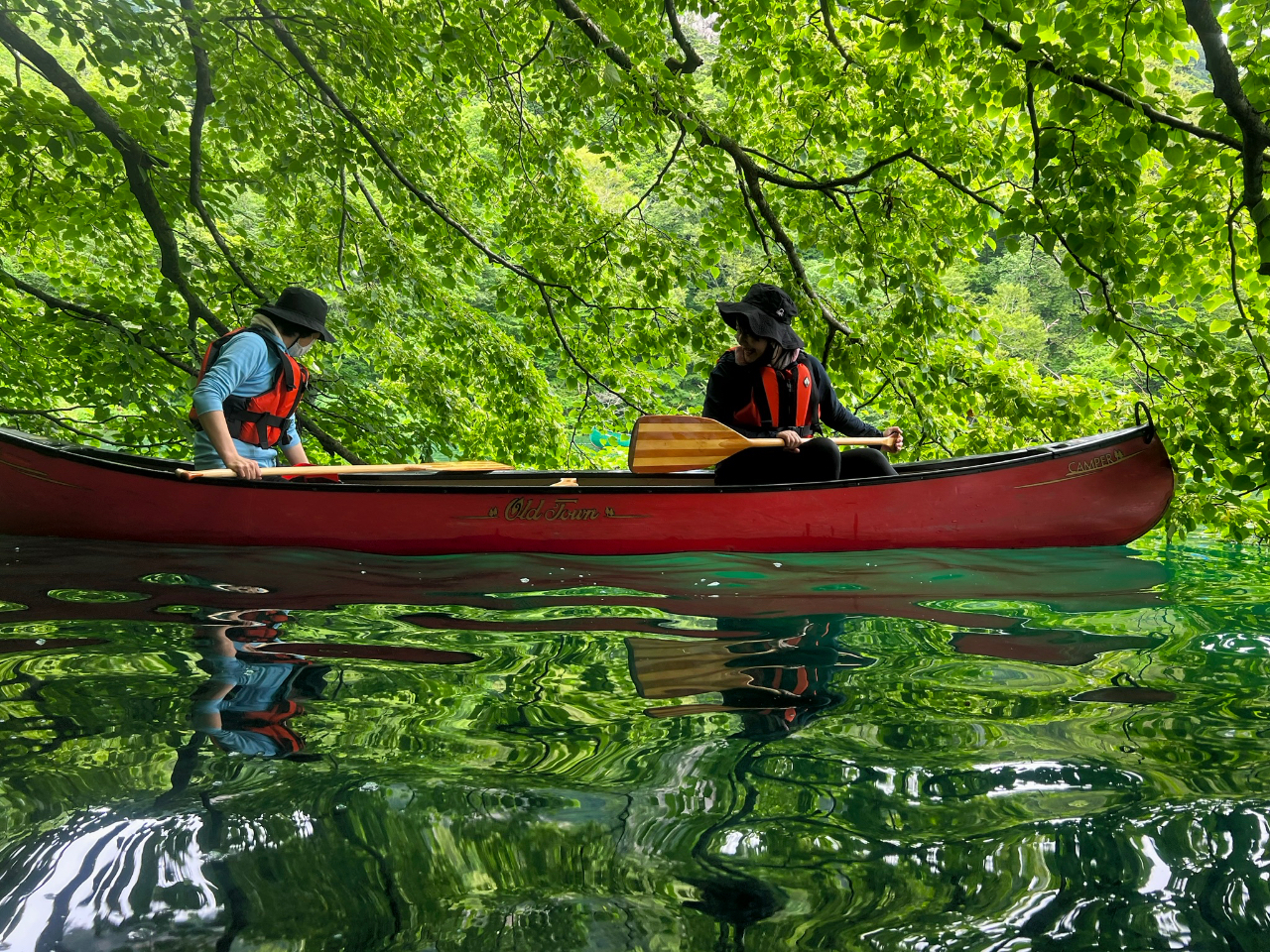 ؂̉ƑSĂ΂̃lC`[ȐEB΂łȂiłB