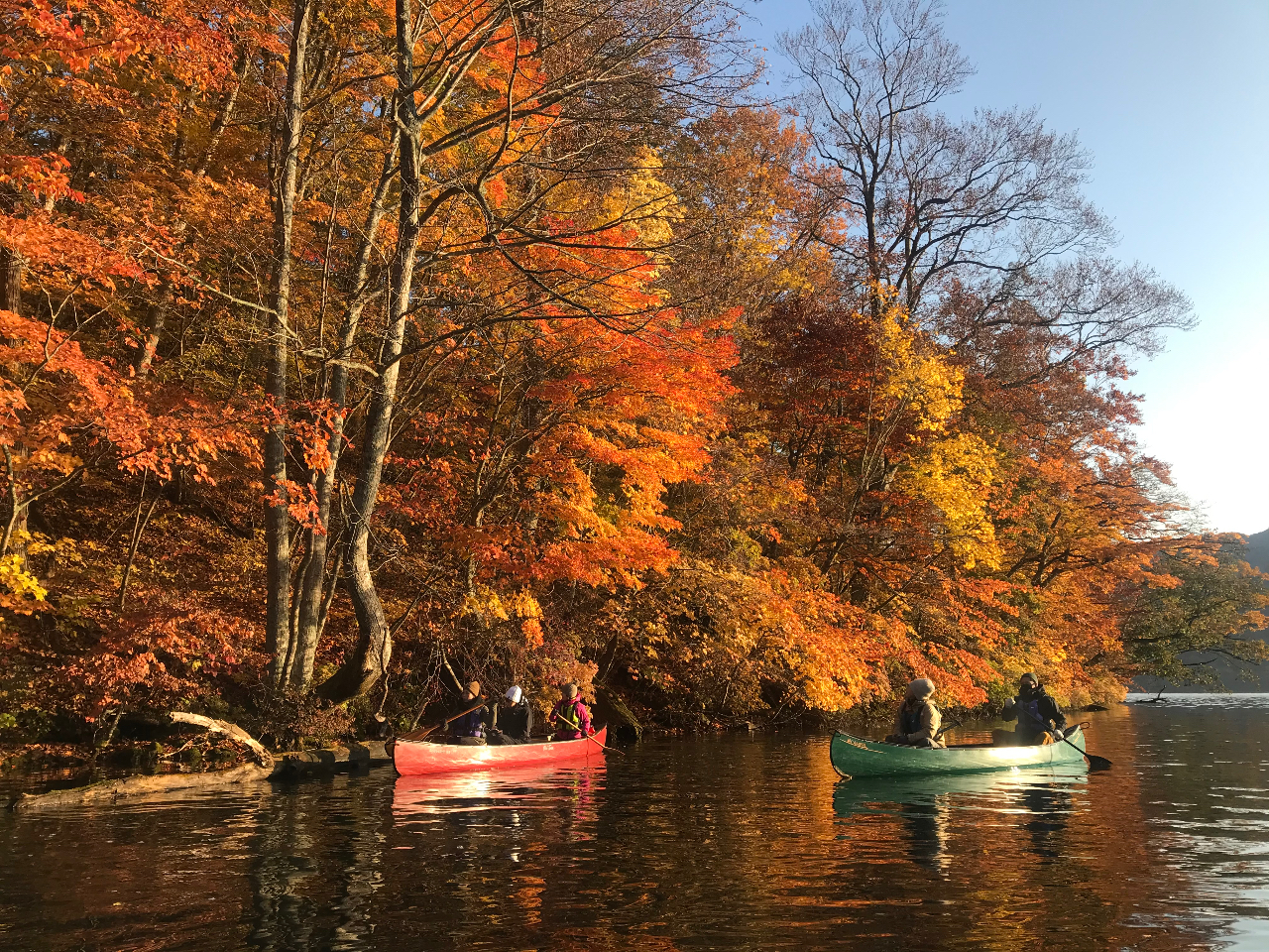 秋は圧巻の紅葉...!鮮やかな木々と澄んだ空気が気持ちの良い季節です。
