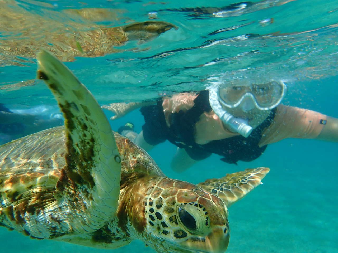 Ȃɋ߂ŃE~KƉj܂Bʐ^ob`I