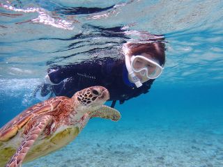 ニモちゃん100%会えますよ!