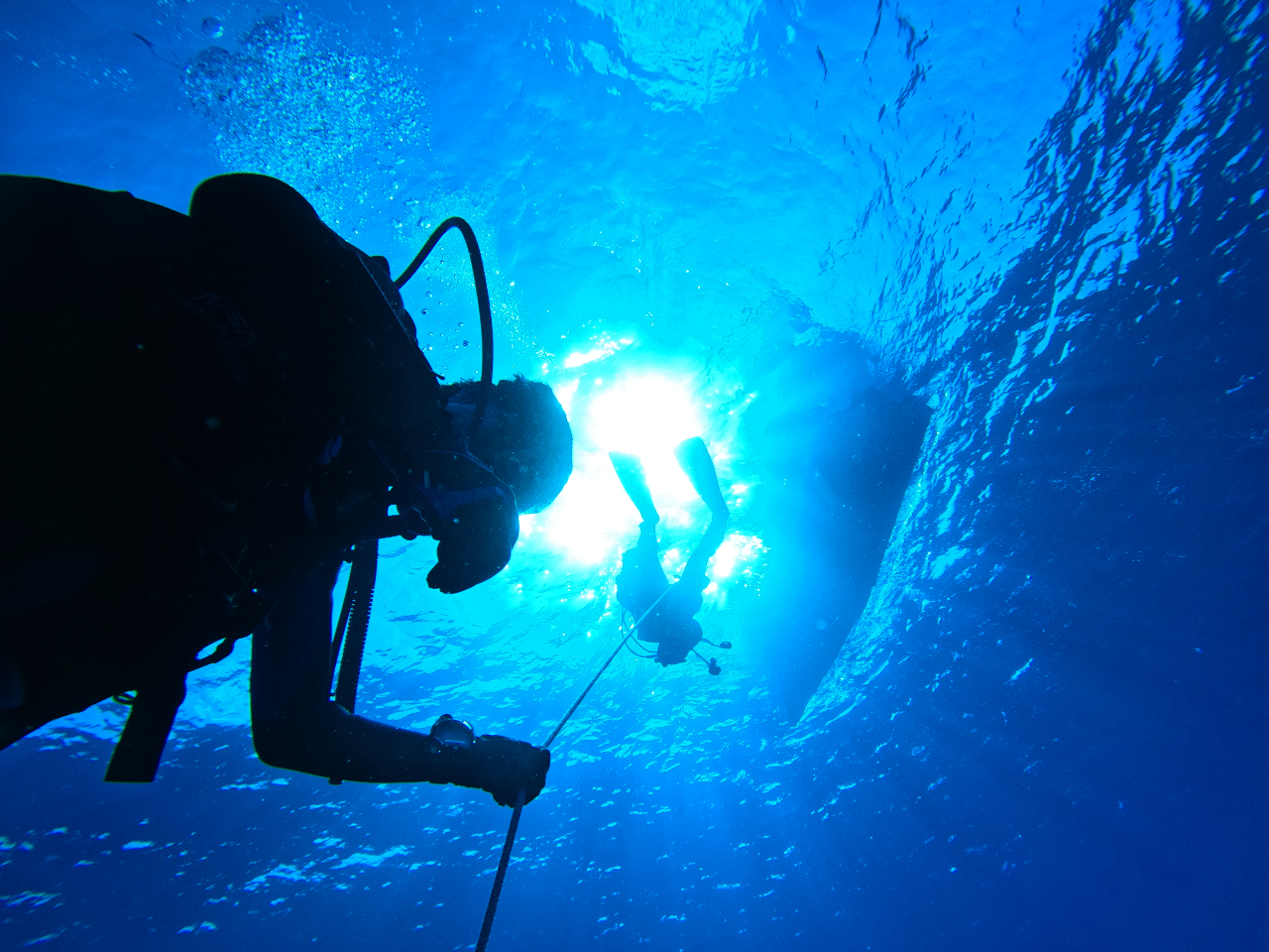 �v�ē��̓_�C�r���O�|�C���g��������I