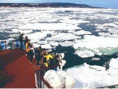 流氷砕氷船おーろら 展望デッキからの眺め