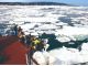 流氷砕氷船おーろら 展望デッキからの眺め