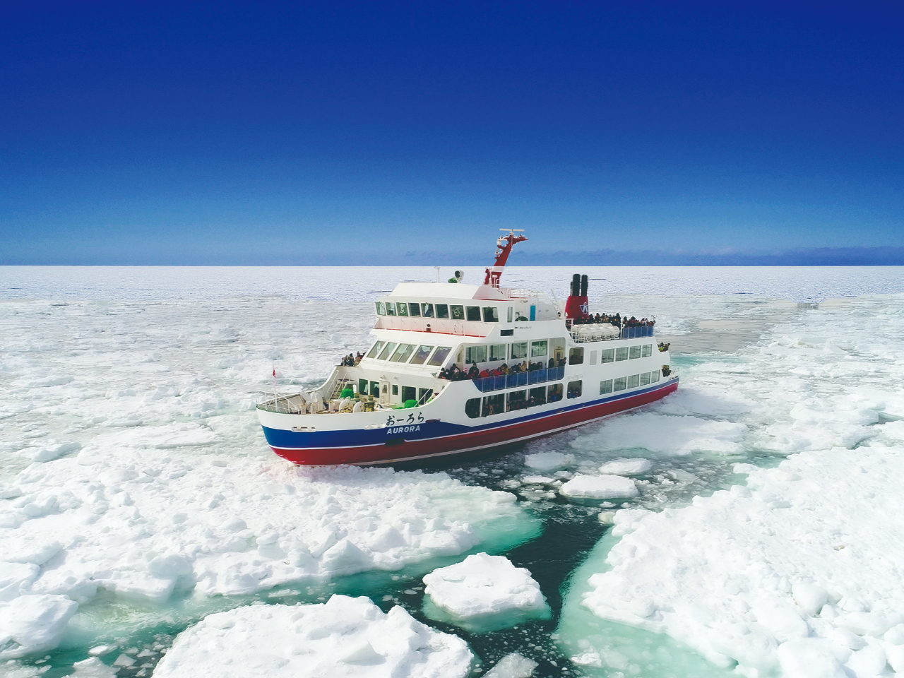 �D�ő̊��I���X�ό�