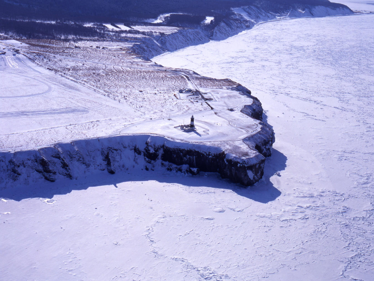 ��l�C�X�|�b�g�@�\�斦���s���܂��`