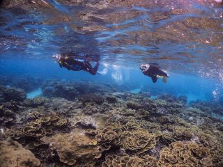 伊良部島の海でシュノーケリング ぷくぷく 宮古島 シュノーケリングフォトツアー じゃらん遊び体験
