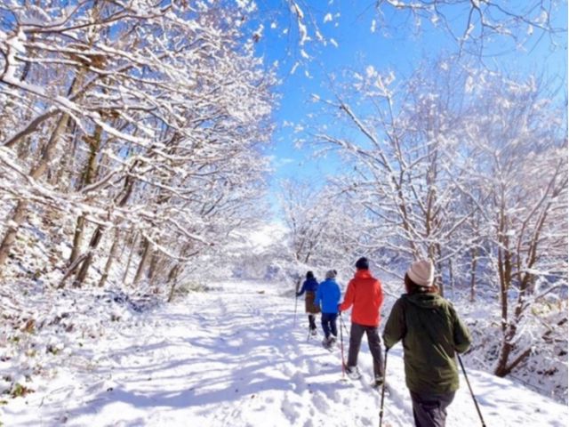 知床国立公園 冬の知床 貸切 スノーシューツアー Hokkaido Private Adventure じゃらん遊び体験 知床国立公園 冬の知床 貸切 スノーシューツアー Hokkaido Private Adventure じゃらん遊び体験