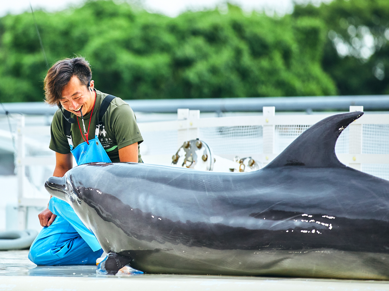 `CĴJZI`wZɌĂü̎ԁvuH̎ԁvȂǂ̎ƃvǑvO{IꕔLvO܂B