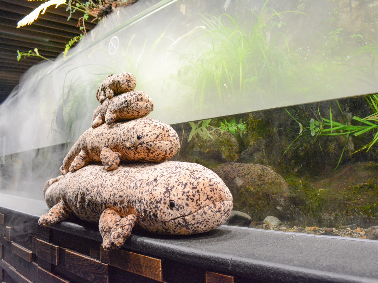 `ObYڔI`lC̃IITVEEIʂ݂͂荠STCY甗͖_̖155p̃TCY܂ŁIłIITVEEIC𖡂킦܂