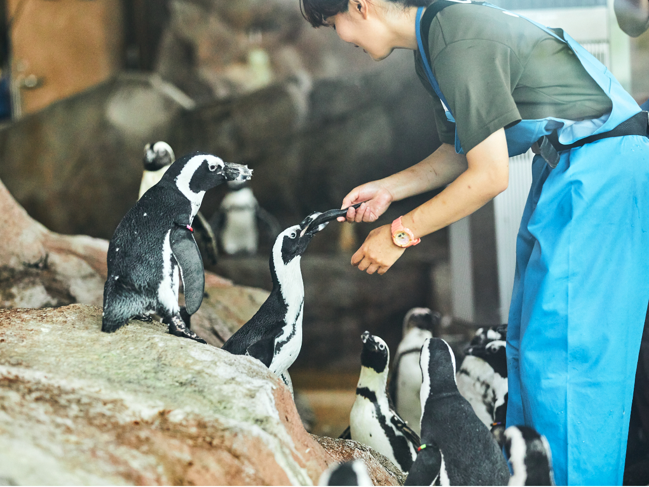 `yM`uł͂̂тAł̓_Ci~bNȐlCҁIu͂̎ԁvɂ́A1H1H̖OĂтȂ炲͂悤y݂B