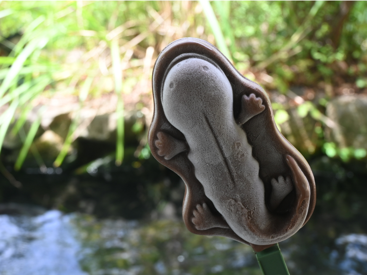 `IITVEEIACXI`IITVEEǏ`̃`R[gACXBOƌ뎈̐܂ōČĂ܂BȂ邱ꂩ̋G߂ɂЁ