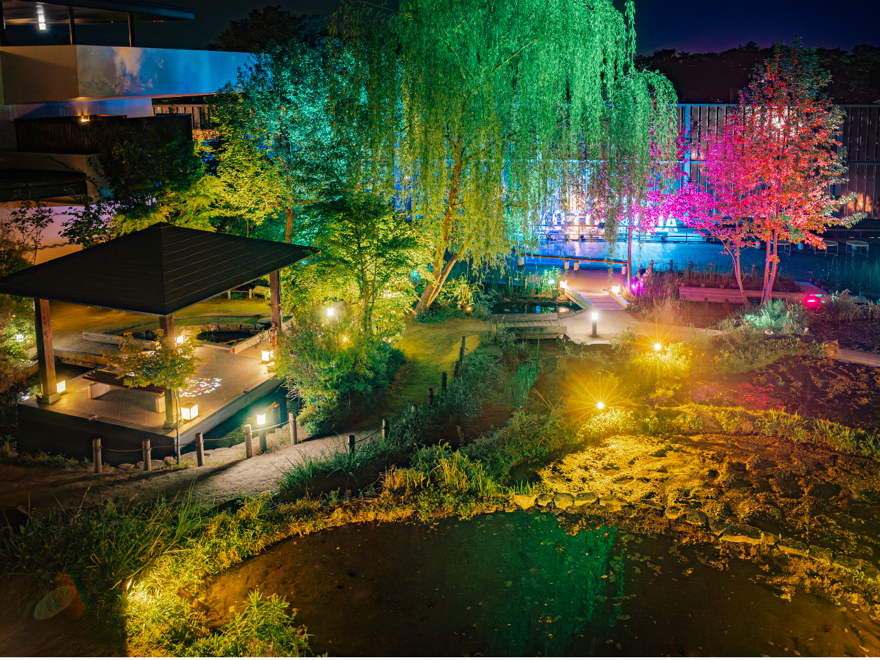 〜土日祝18時以降限定!「京の里山」ライトアップ中!〜夜限定の幻想的なライトアップ!いきものを投影した照明演出や記念撮影にピッタリのスポットも!(8/24まで)