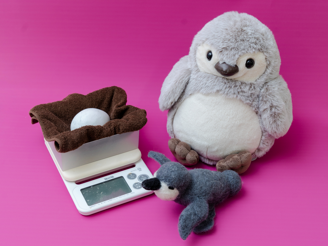 �`3/31�i�΁j�܂ł̓��ʓW�u�傫���Ȃ��ĂˁI�P�[�v�y���M���v�J�Ò��I�`�P�[�v�y���M���̗�����q�i�̐����̂悤����̌���ʂ��Ċw�ׂ���W�I