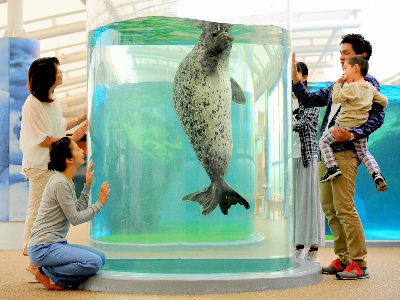 ◇【京都水族館*入館チケット】国内最大級の内陸型水族館*いきもの ◇【京都水族館*入館チケット】国内最大級の内陸型水族館*いきもの