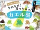〜「石川薫の水族館〜ケロケロ!見つケロッ!カエル展〜」開催中!〜京都に生息しているカエルを見つけて楽しい展示が登場中。企画展は9月30日(水)まで!