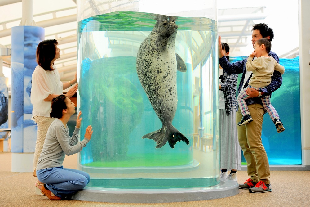 じゃらんスペシャルウィーク】期間限定≪親子割引チケット≫国内 じゃらんスペシャルウィーク】期間限定≪親子割引チケット≫国内