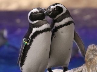 じゃらん限定 夜間割チケット 通常より Off おでかけやデートの最後におすすめ 押上駅 とうきょうスカイツリー駅すぐ すみだ水族館 じゃらん遊び体験