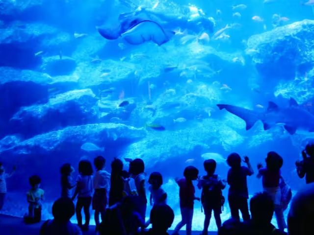すみだ水族館 入館チケット いきものたちに会いに行く 公園みたいな水族館 当日予約可能 押上駅 とうきょうスカイツリー駅すぐ ファミリー 女性 すみだ水族館 じゃらん遊び体験 すみだ水族館 入館チケット いきものたちに会いに行く 公園みたいな水族館 当日予約可能 押上駅 とうきょうスカイツリー駅すぐ ファミリー 女性 すみだ水族館 じゃらん遊び体験