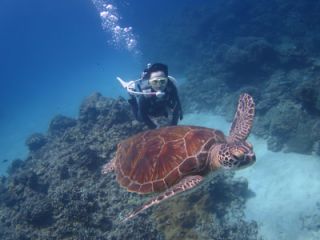 ウミガメとの遭遇率も高いですよ♪