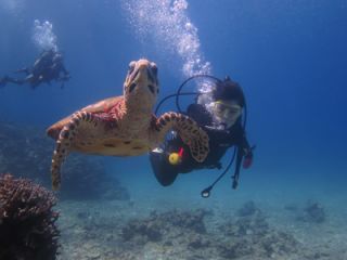 ウミガメとの遭遇率も高いですよ♪