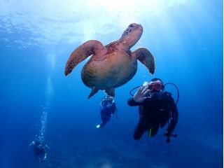 ウミガメとの遭遇率も高いですよ♪