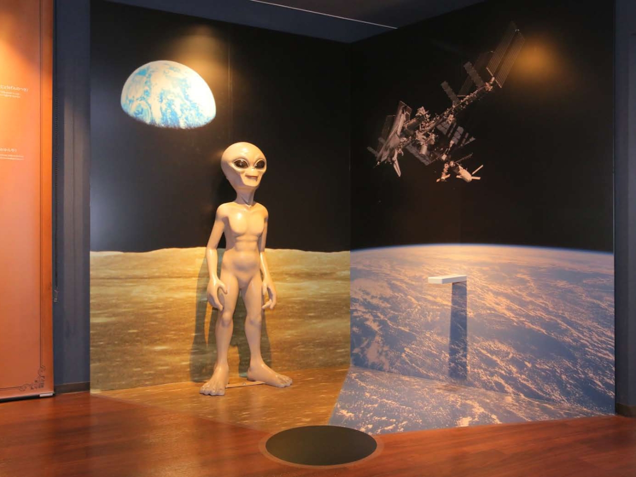 C`IV̎BeX|bgBǂȎʐ^Bł傤Hy݂ɁB