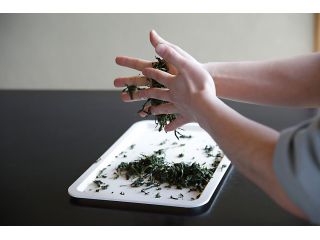 手もみ緑茶づくり〜直接茶の葉を手で揉み、緑茶を作ります