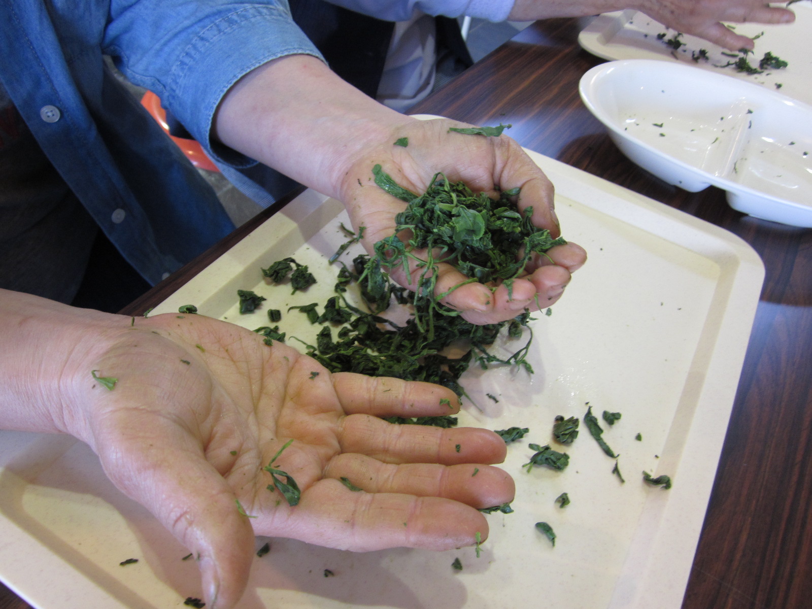 ݗΒÂ`鍠ɂ͂̐ɂΐFɁBŐ􂦂Η܂̂łSB