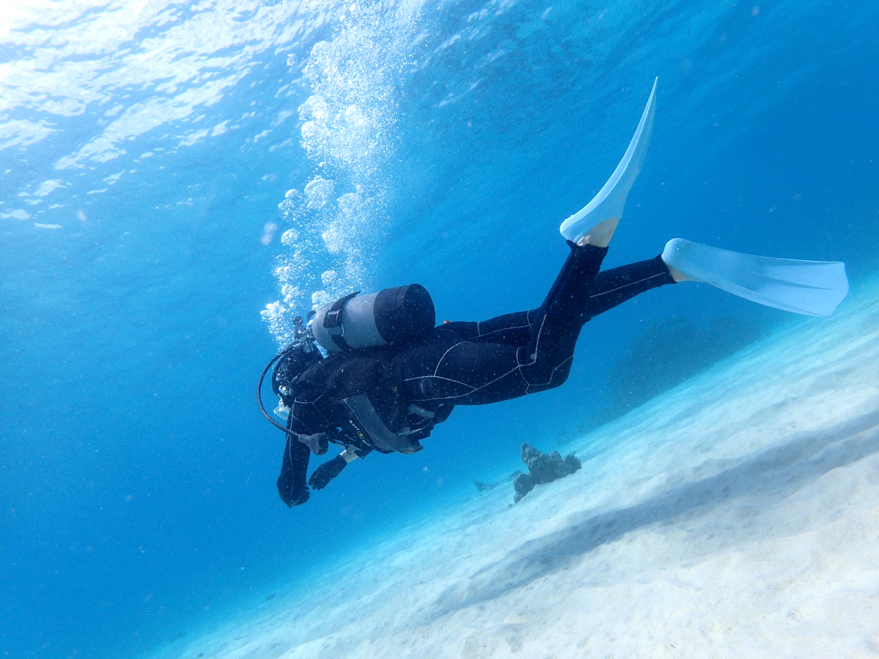 ボートで行くから透明度がいい!