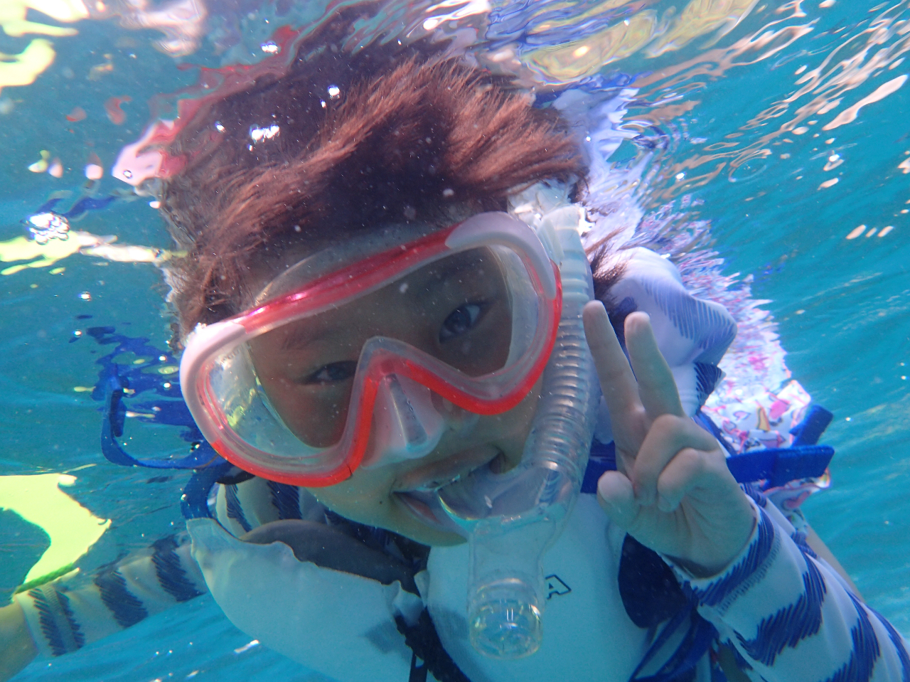 お子様も参加出来るツアー