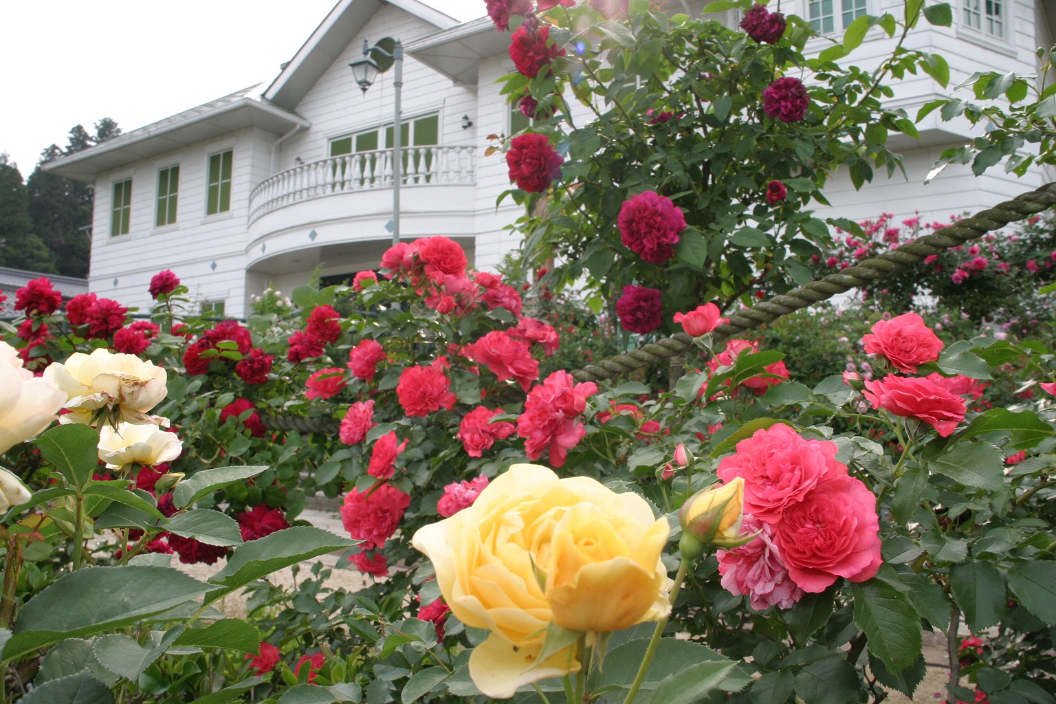 【大正村を満喫するならこちら!】お得に楽しめる有料施設共通券☆