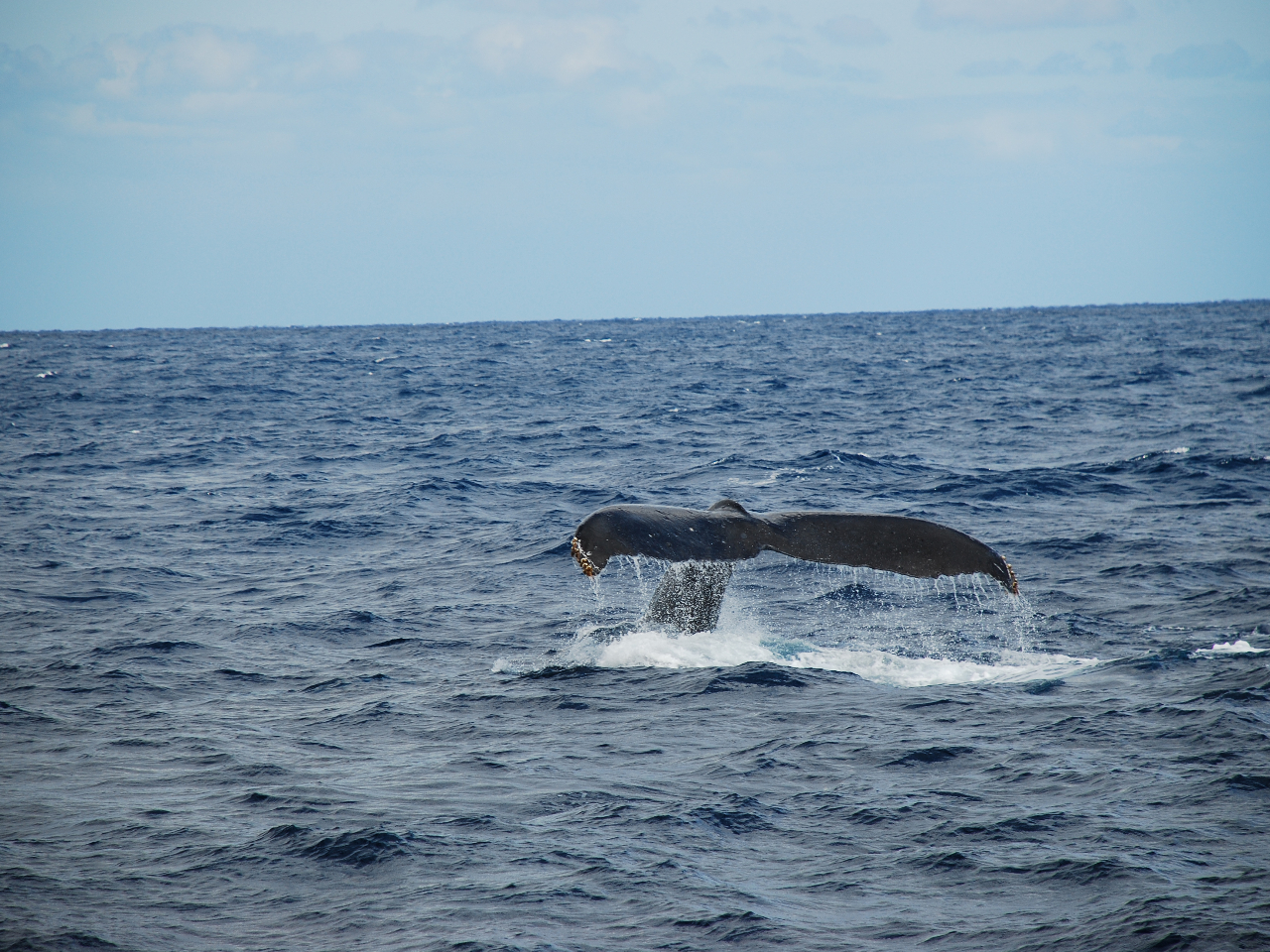 yt[NAbvzn߂鎞ɔqグ邱ƂB