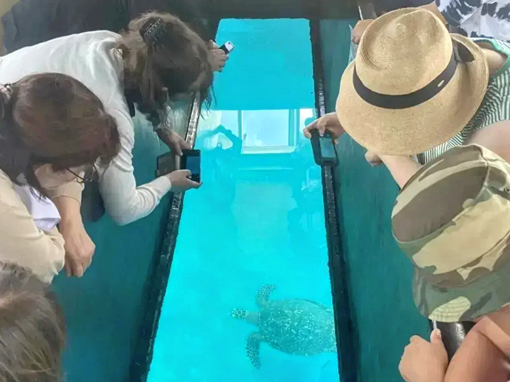 小さなお子様からご年配の方まで一緒に楽しめます♪♪