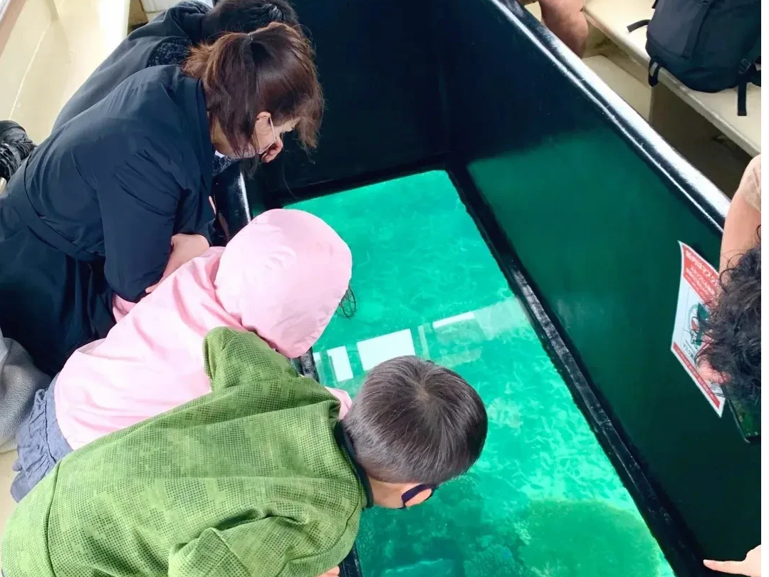 何がいるかな〜、お楽しみ☆★彡