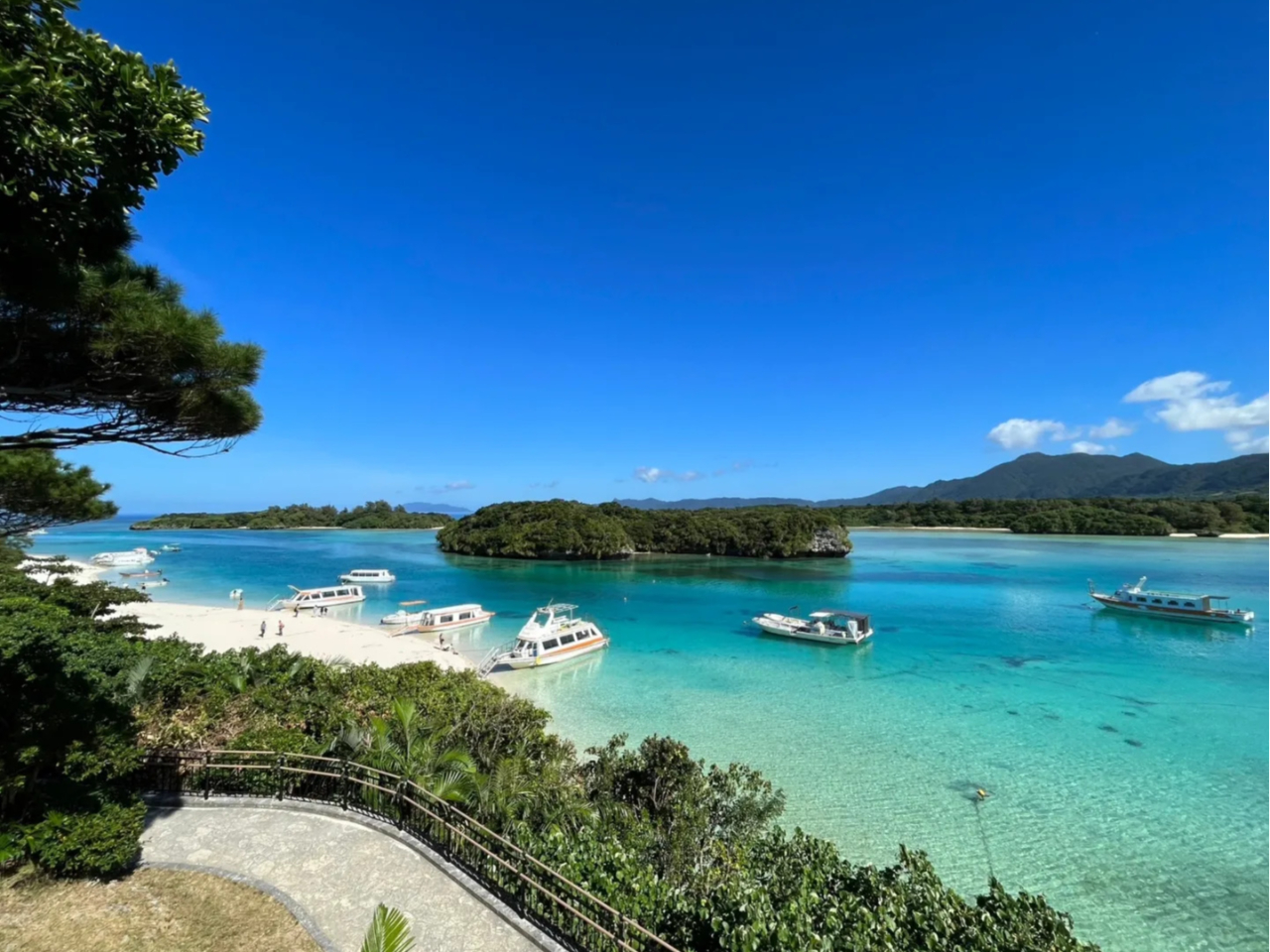 約30分の遊覧旅へ♪朝9時から夕方17時まで。15〜20分間隔で年中運航しています!