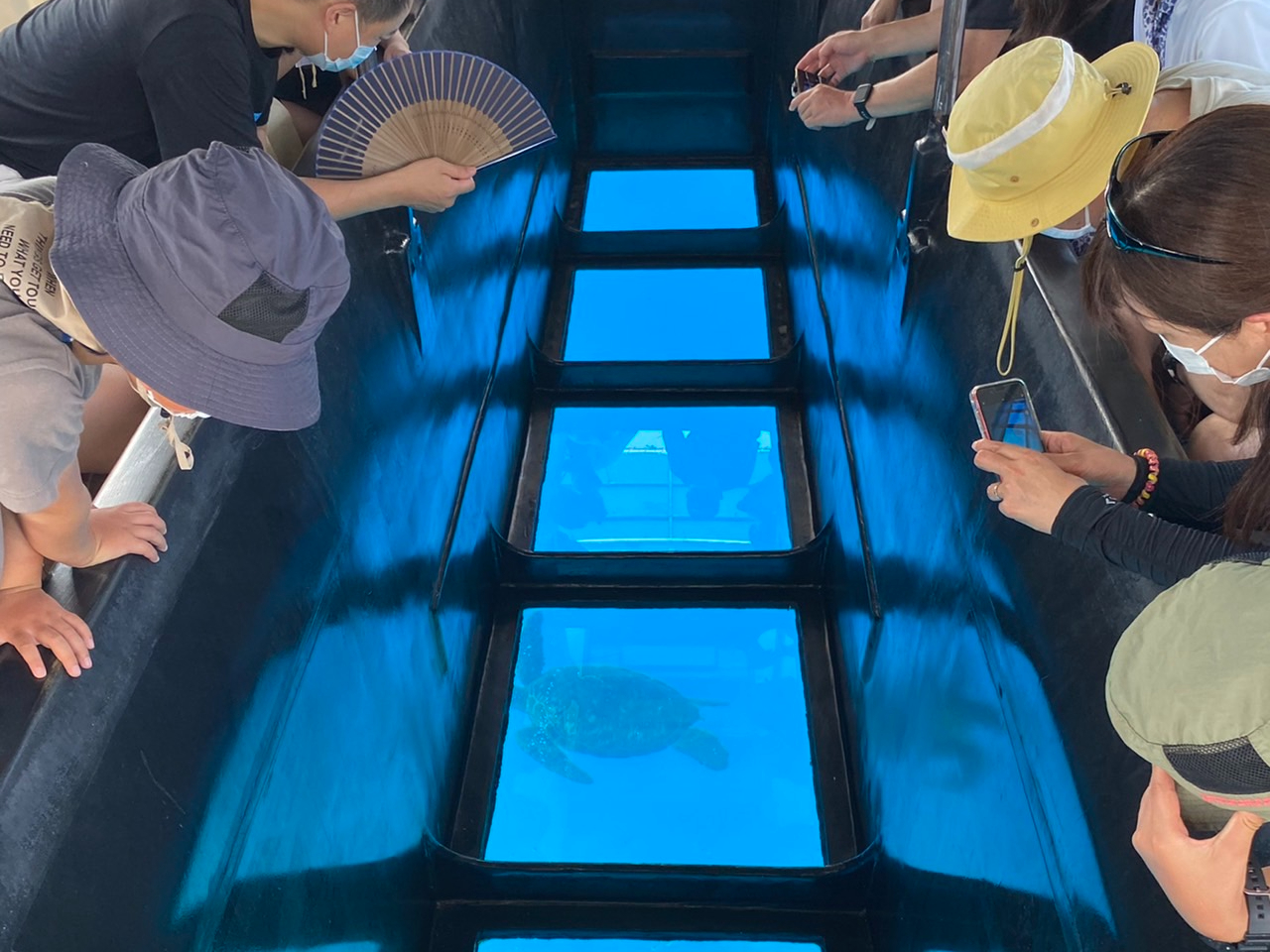 何がいるかな〜、お楽しみ☆★彡