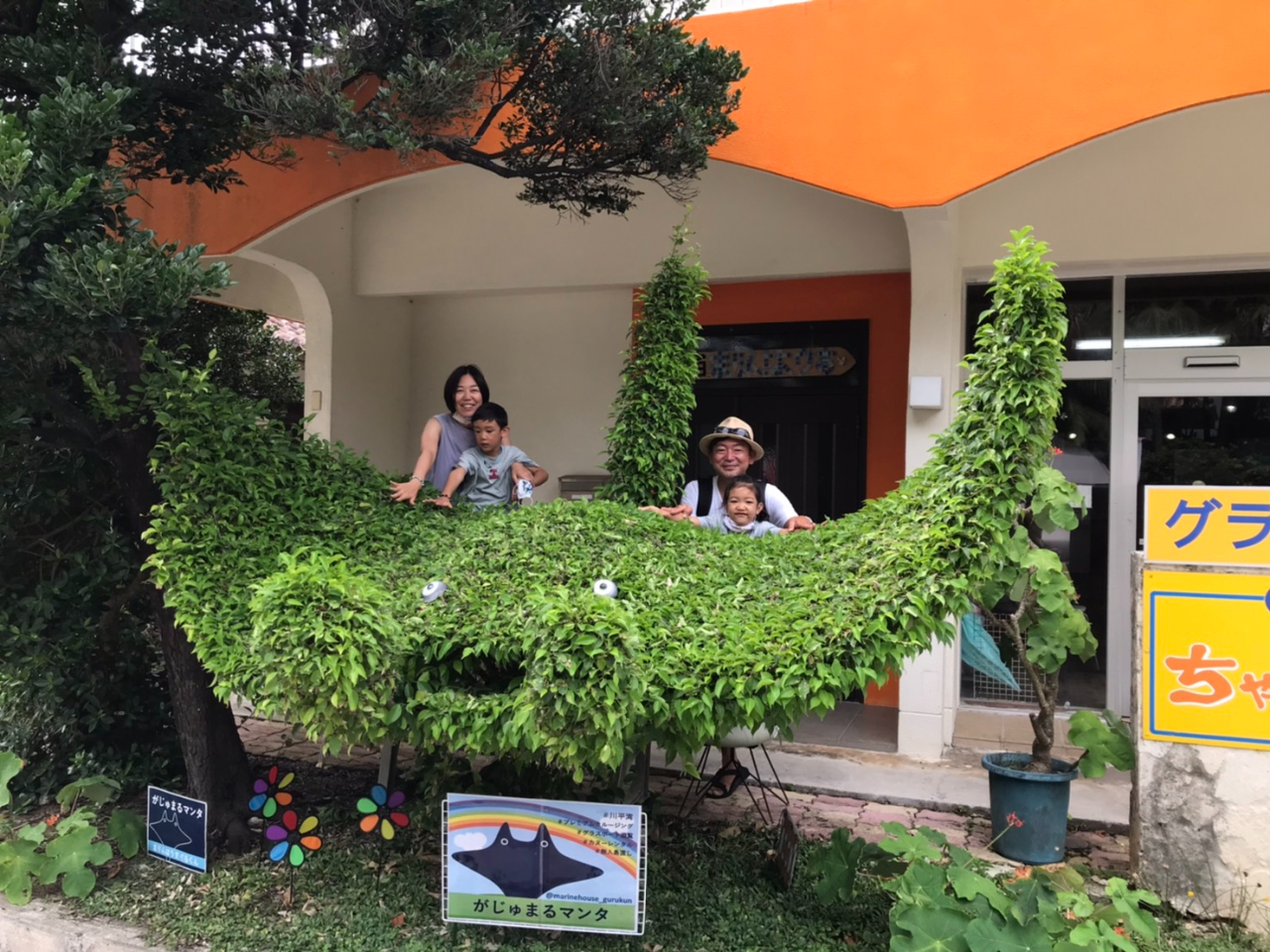 オーナーが製作した、”がしゅまるマンタ”の木★彡探してみてね♪